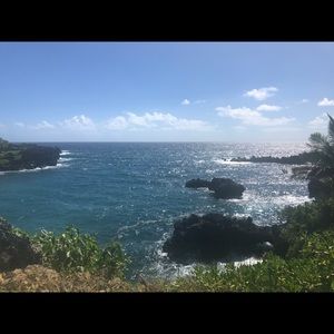 Meet your Posher, Ivy jean